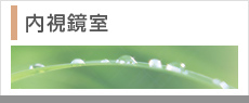 内視鏡室の紹介
