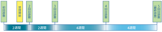 治療の主な流れ