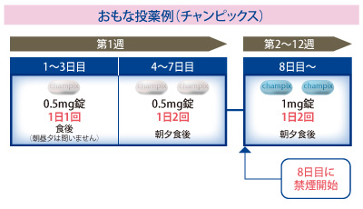 主な投薬例（チャンピックス）