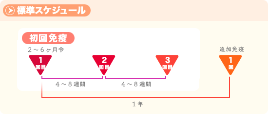 ヒブ標準スケジュール