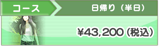 半日コース \43,200(税込)