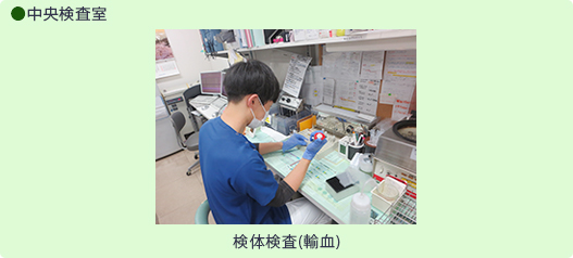 検査技師の1日:中央検査室