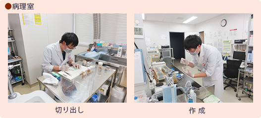 検査技師の1日：病理室