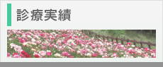 診療実績